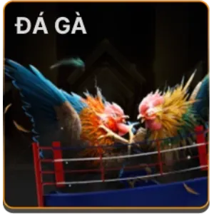 Cá cược Thể Thao Bet88