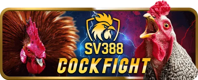 Phân tích kèo nhà cái Bet88